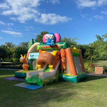 Bouncing Castle